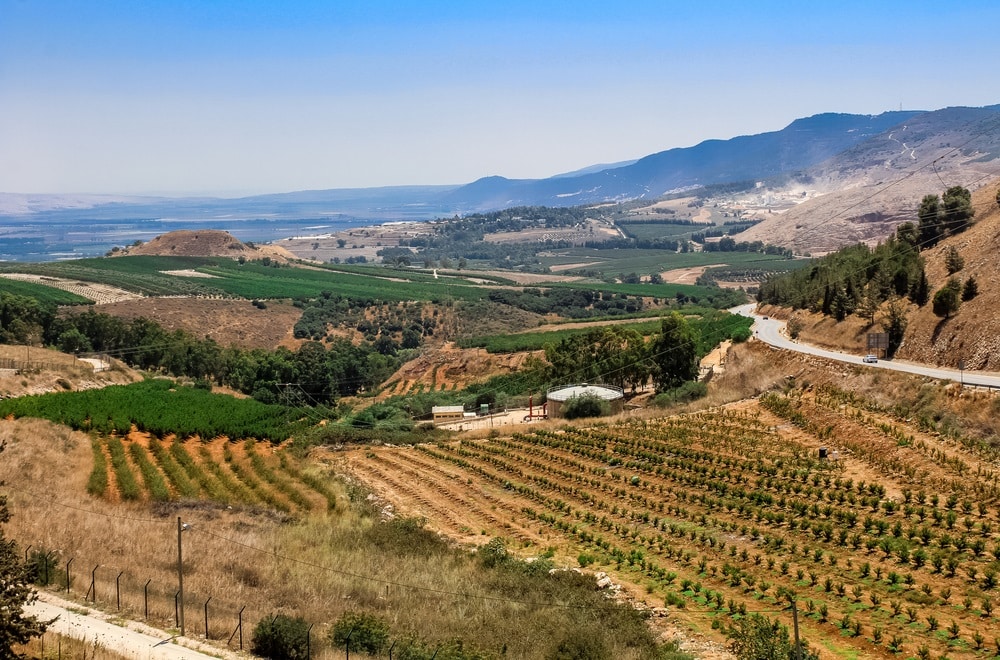 View of agricultural land in the Galilee