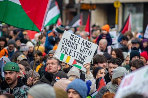מפגין עם שלט 'אירלנד עומדת לצד פלסטין'