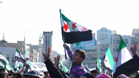 Syrian boy waving flag