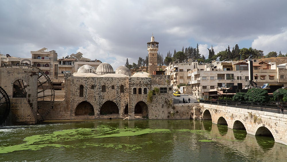 Greenery on the Assi River in the city of Hama