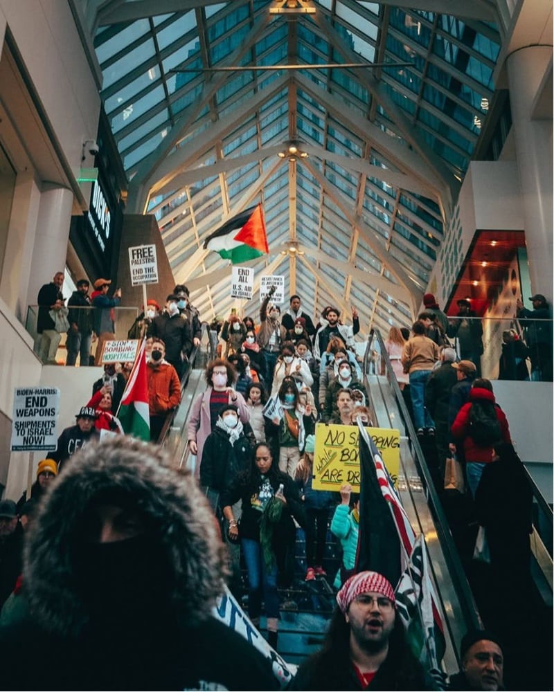 crowd with palestinian flags & signs in shopping center 