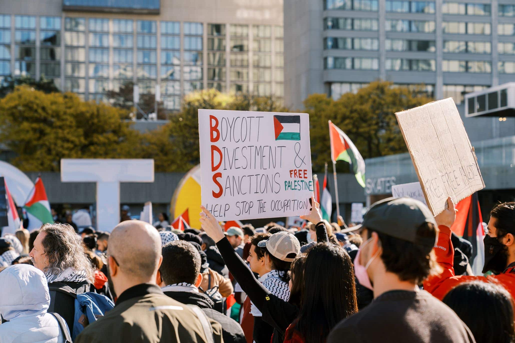 Times of success and times of failure. Pro-BDS demonstration in Toronto 