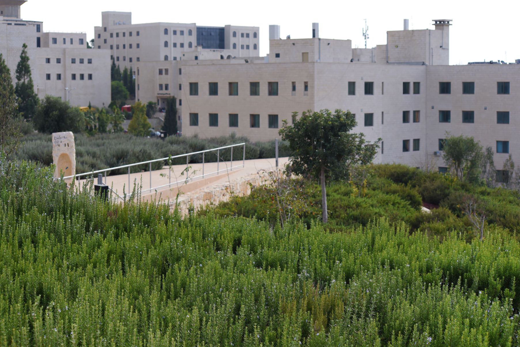 Bir Zeit University in Ramallah. This is where “AL Muhandis" acquired his knowledge