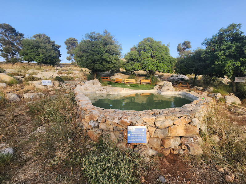בריכת השכשוך בשמורת עוז וגאו"ן